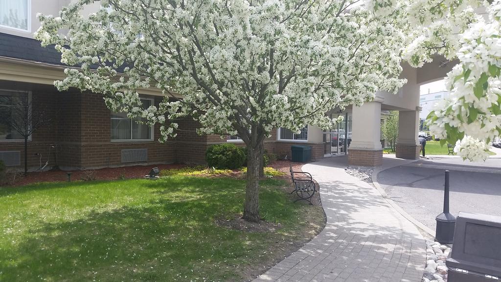 Days Inn By Wyndham Ottawa Airport Экстерьер фото